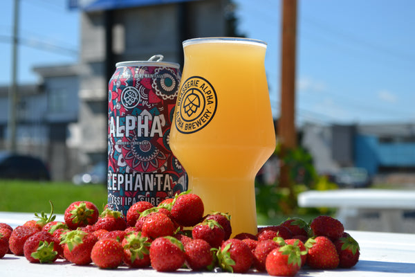 Elephanta à la fraise