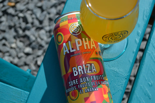 Briza II - Mangues, fruits de la passion, ananas